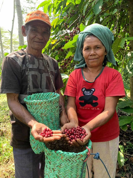 Indonesia Tuang 200gr