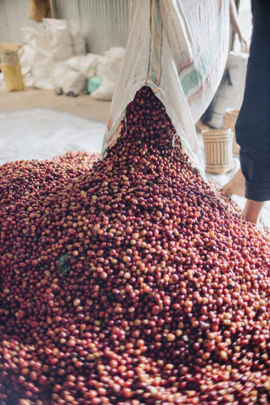Indonesia Kevenka 200gr