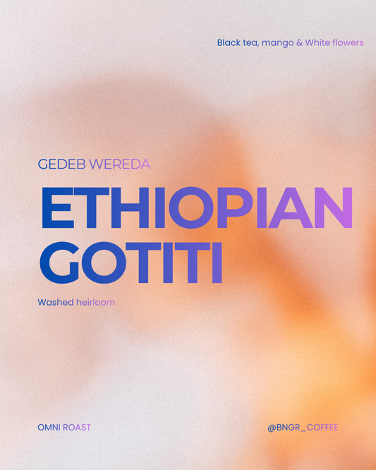 Ethiopia Gotiti washed 200gr