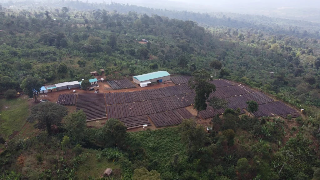 Ethiopia Lalessa 200gr